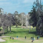 Club de Campo Pan de Azúcar