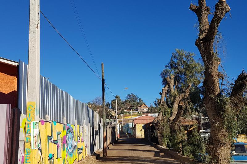 Realizan poda de árboles de forma preventiva en Andacollo para evitar  riesgos | La Serena Online