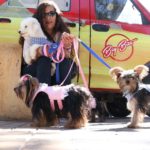 encuesta mascotas 15092018