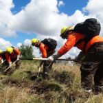 Brigadistas 26122018