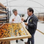 El Director Nacional de INDAP, Carlos Recondo, conoció directamente el trabajo de la Cooperativa Agrofrutícola Chillepín 01