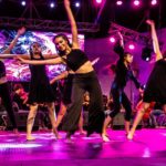 danza vicuna 30012019