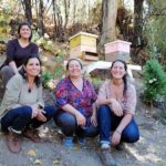 panales horcon 24042019