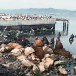 jens-johnsson-w5pjuJ1XGr0-unsplash