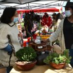 despliegue cultural 16102021